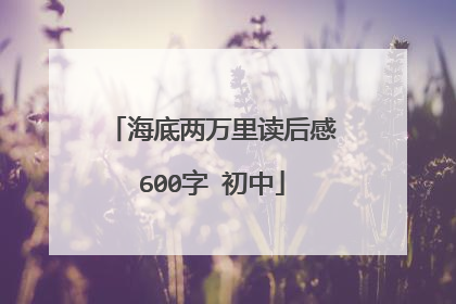 海底两万里读后感600字 初中