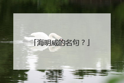 海明威的名句？
