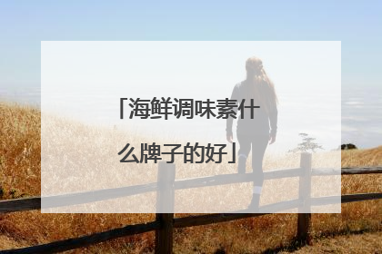 海鲜调味素什么牌子的好