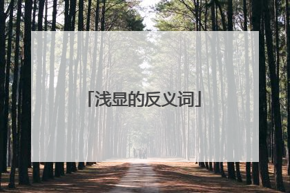 浅显的反义词
