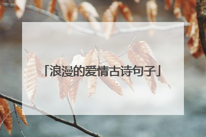 浪漫的爱情古诗句子