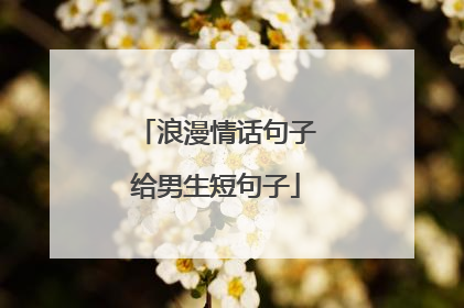 浪漫情话句子给男生短句子