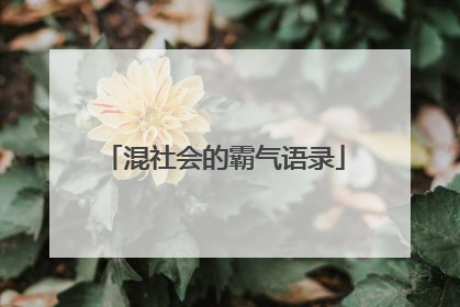 混社会的霸气语录