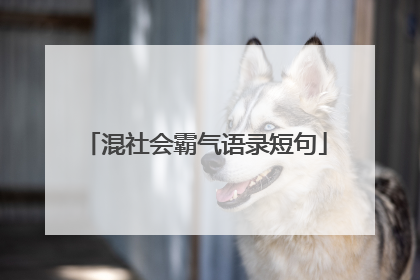 混社会霸气语录短句