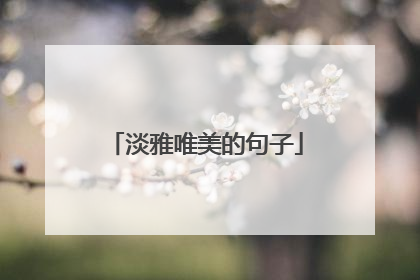 淡雅唯美的句子