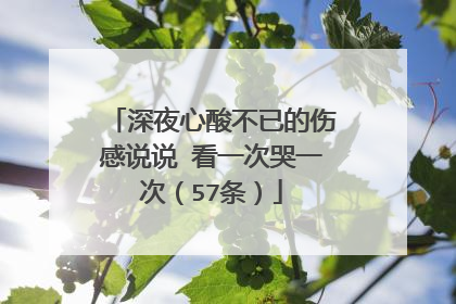 深夜心酸不已的伤感说说 看一次哭一次（57条）