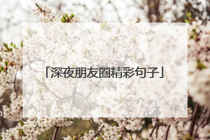 深夜朋友圈精彩句子