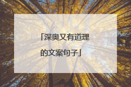 深奥又有道理的文案句子