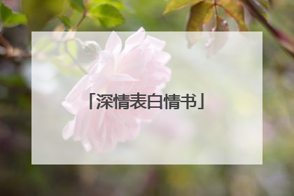深情表白情书
