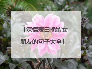 深情表白挽留女朋友的句子大全