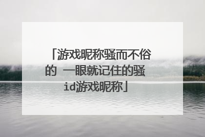 游戏昵称骚而不俗的 一眼就记住的骚id游戏昵称