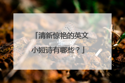 清新惊艳的英文小短诗有哪些?