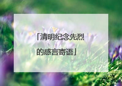 清明纪念先烈的感言寄语