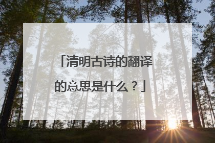 清明古诗的翻译的意思是什么？