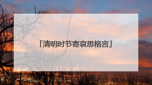 清明时节寄哀思格言