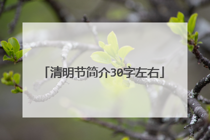 清明节简介30字左右