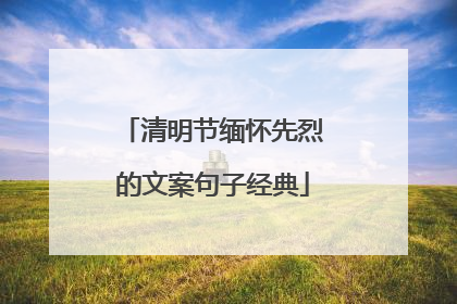 清明节缅怀先烈的文案句子经典