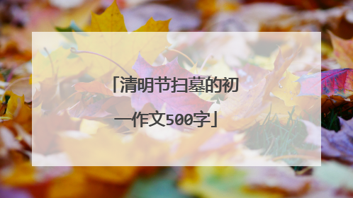 清明节扫墓的初一作文500字