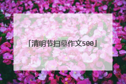 清明节扫墓作文500
