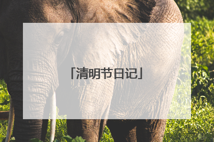 清明节日记