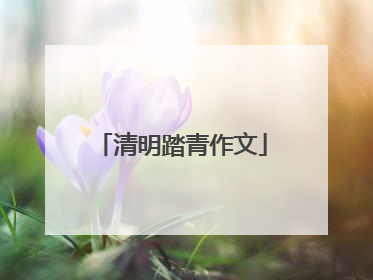 清明踏青作文