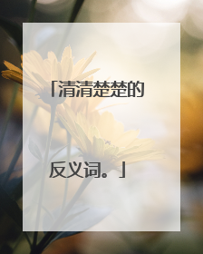 清清楚楚的反义词。
