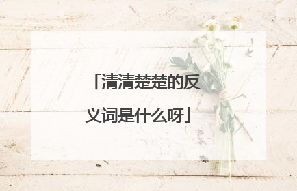 清清楚楚的反义词是什么呀