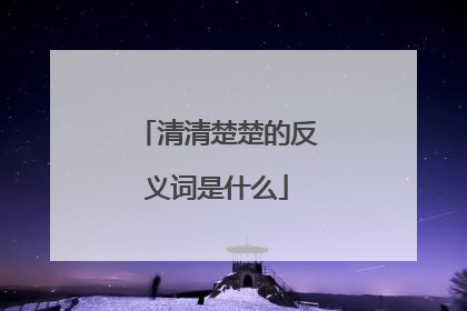 清清楚楚的反义词是什么