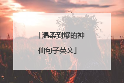 温柔到爆的神仙句子英文