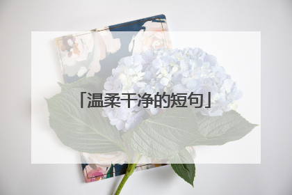 温柔干净的短句