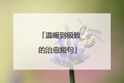 温暖到极致的治愈短句