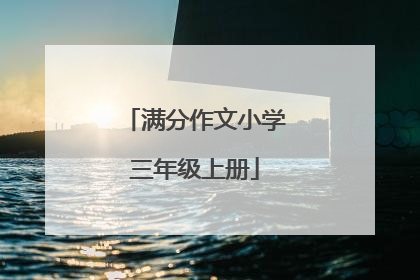 满分作文小学三年级上册