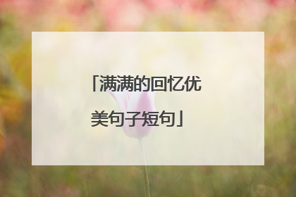 满满的回忆优美句子短句