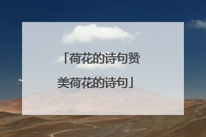荷花的诗句赞美荷花的诗句