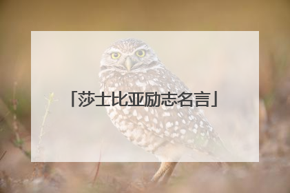 莎士比亚励志名言