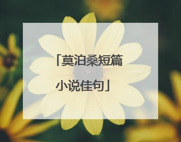 莫泊桑短篇小说佳句