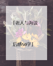 老人与海读后感50字