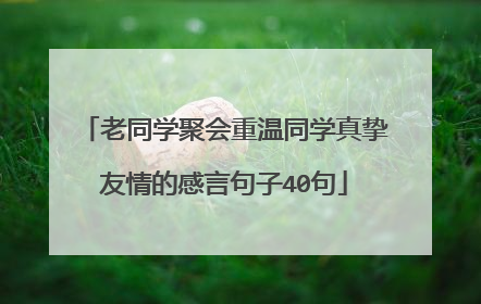 老同学聚会重温同学真挚友情的感言句子40句