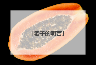 老子的明言