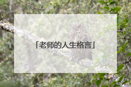 老师的人生格言