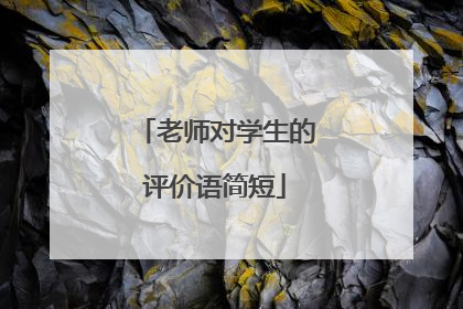 老师对学生的评价语简短