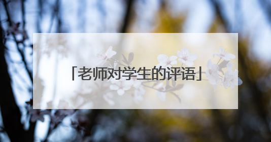 老师对学生的评语