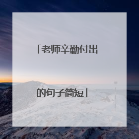 老师辛勤付出的句子简短