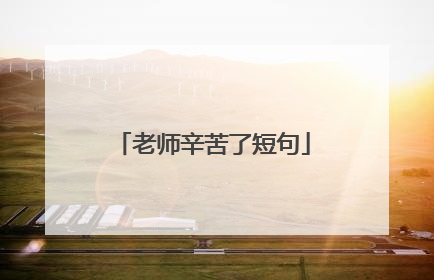 老师辛苦了短句