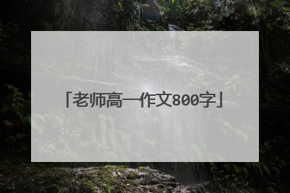 老师高一作文800字
