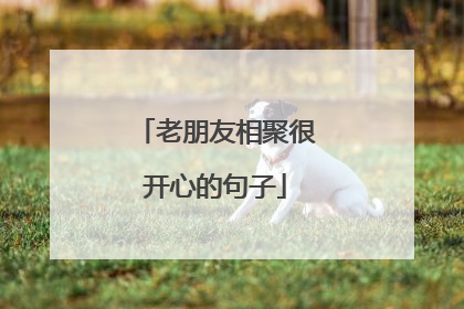 老朋友相聚很开心的句子