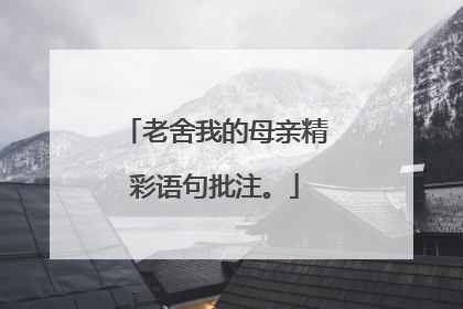 老舍我的母亲精彩语句批注。