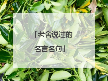 老舍说过的名言名句