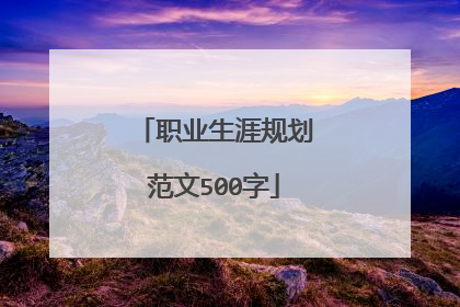 职业生涯规划范文500字