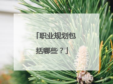 职业规划包括哪些？